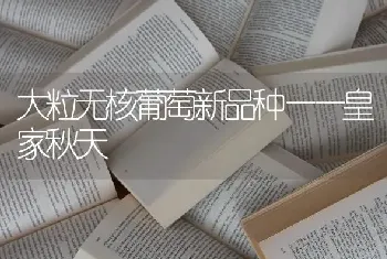 大粒无核葡萄新品种——皇家秋天