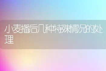 小麦播后几种特殊情况的处理