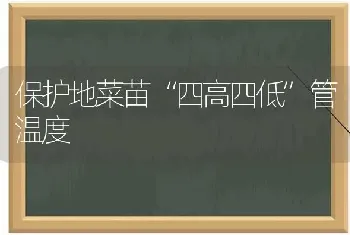 保护地菜苗“四高四低”管温度