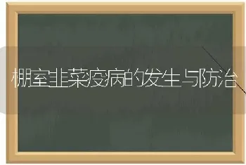 棚室韭菜疫病的发生与防治