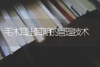 毛木耳出耳期的管理技术