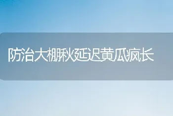 防治大棚秋延迟黄瓜疯长