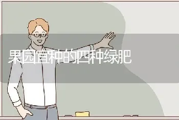 果园宜种的四种绿肥