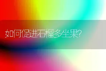 如何促进石榴多坐果?