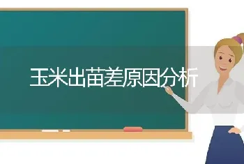 夏季多雨 如何防治猕猴桃病虫害