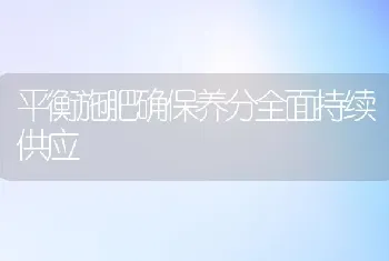 平衡施肥确保养分全面持续供应