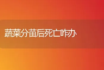 蔬菜分苗后死亡咋办