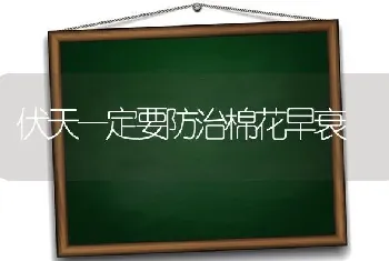 伏天一定要防治棉花早衰