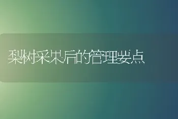 梨树采果后的管理要点