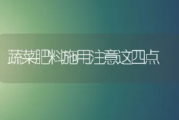 蔬菜肥料施用注意这四点