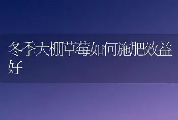 冬季大棚草莓如何施肥效益好