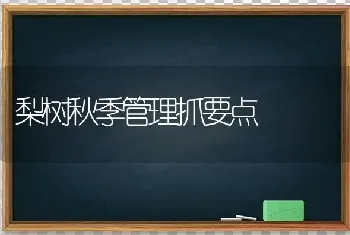 梨树秋季管理抓要点