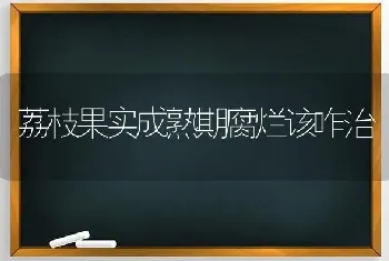 荔枝果实成熟期腐烂该咋治