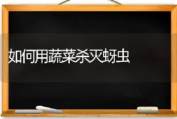 如何用蔬菜杀灭蚜虫