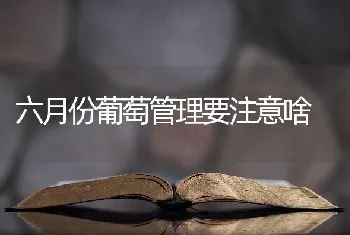 六月份葡萄管理要注意啥