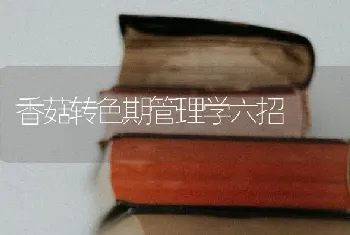 香菇转色期管理学六招