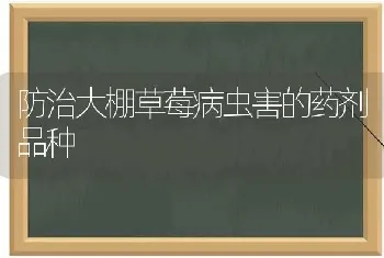 防治大棚草莓病虫害的药剂品种