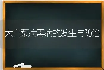 大白菜病毒病的发生与防治