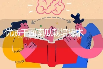 优质干面南瓜栽培技术