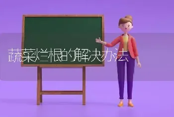 蔬菜烂根的解决办法