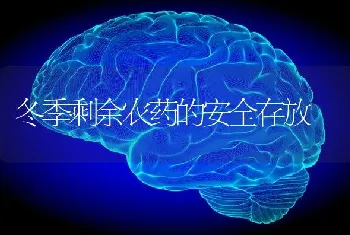 冬季剩余农药的安全存放