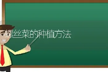 螺丝菜的种植方法