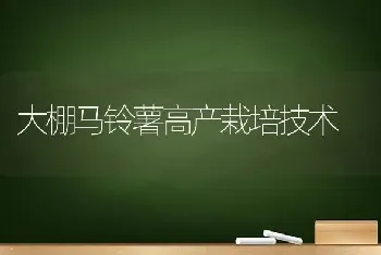 大棚马铃薯高产栽培技术