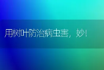 用树叶防治病虫害,妙！