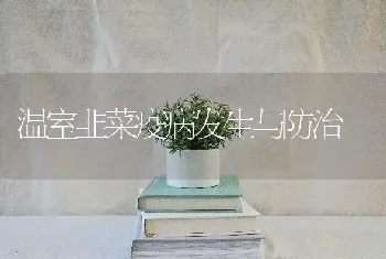 温室韭菜疫病发生与防治