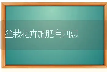 盆栽花卉施肥有四忌