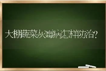 大棚蔬菜灰霉病怎样防治?