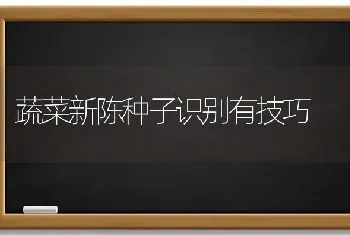 蔬菜新陈种子识别有技巧