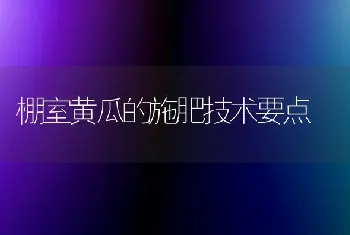 棚室黄瓜的施肥技术要点