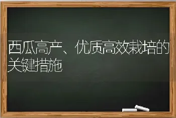 西瓜高产、优质高效栽培的关键措施