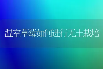 让胡萝卜出好苗有技巧