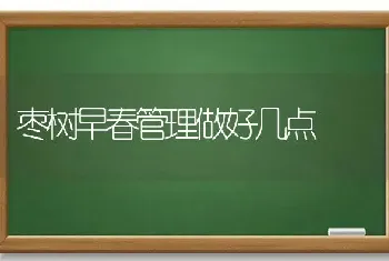 枣树早春管理做好几点