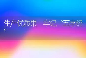 生产优质果 牢记“五字经”