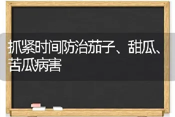 抓紧时间防治茄子、甜瓜、苦瓜病害