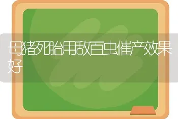 母猪死胎用敌百虫催产效果好