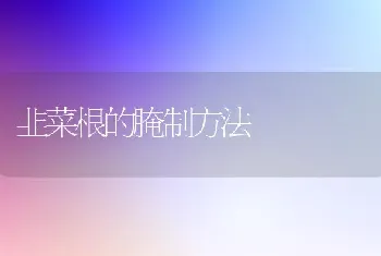 韭菜根的腌制方法