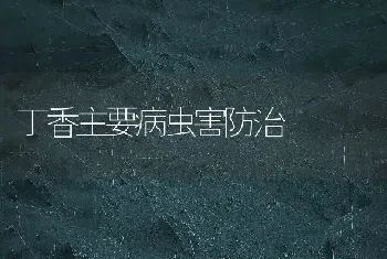 丁香主要病虫害防治