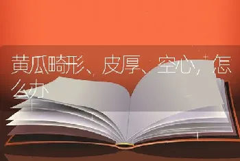 黄瓜畸形、皮厚、空心,怎么办