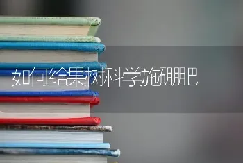 如何给果树科学施硼肥