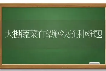 大棚蔬菜有望解决连种难题