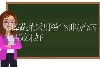 棚室蔬菜采用粉尘剂防治病虫害效果好