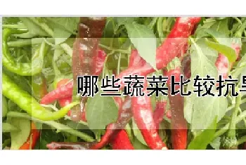 哪些蔬菜比较抗旱