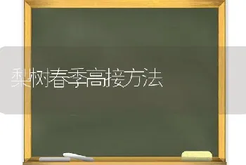 梨树春季高接方法