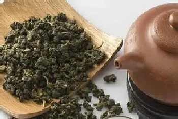 单丛属于什么茶?