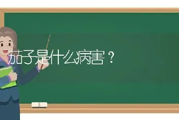 茄子是什么病害?