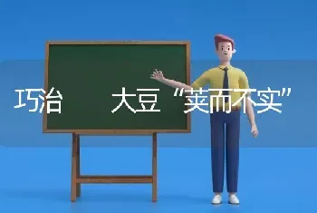 巧治  大豆“荚而不实”